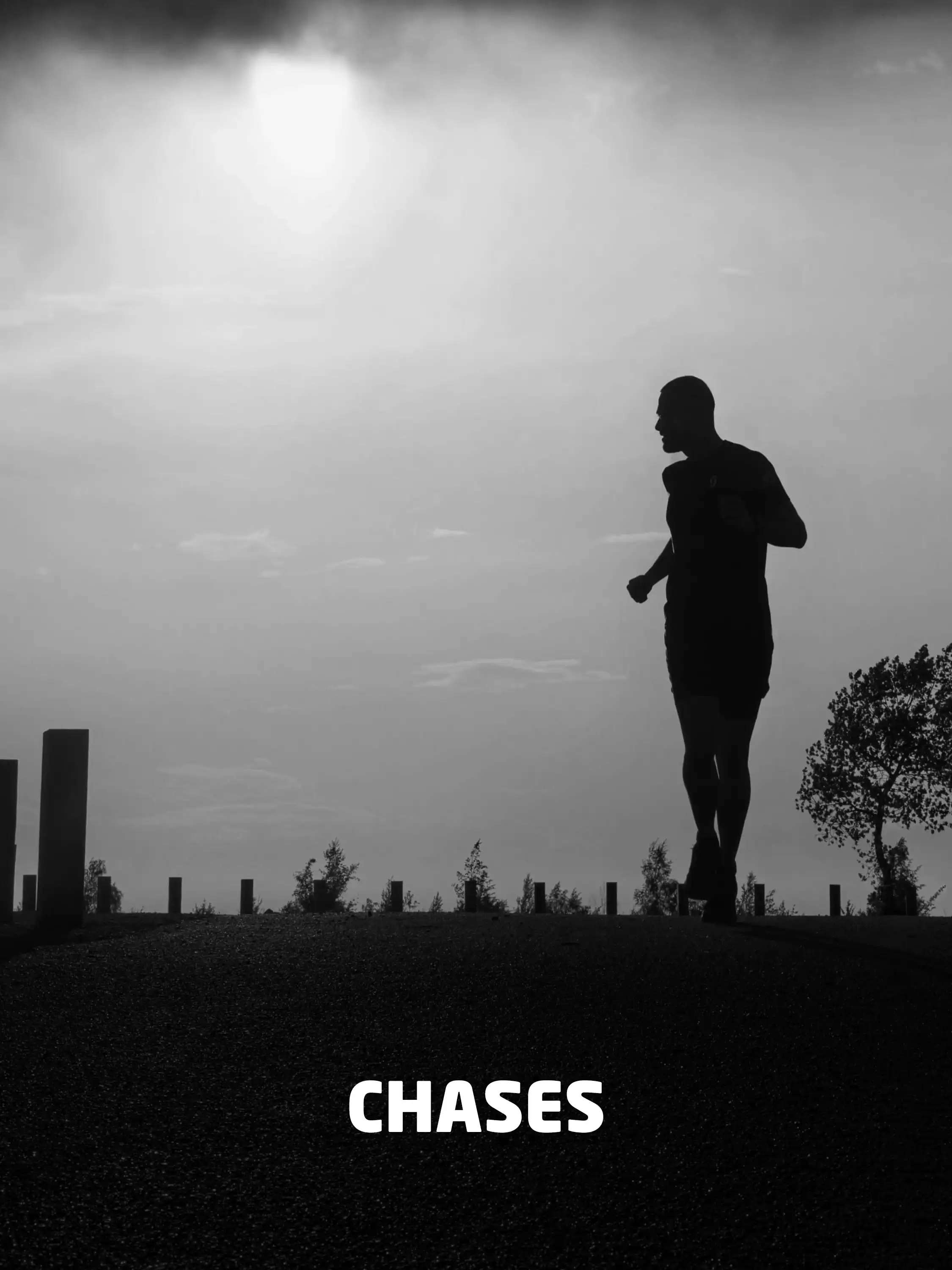 Chases